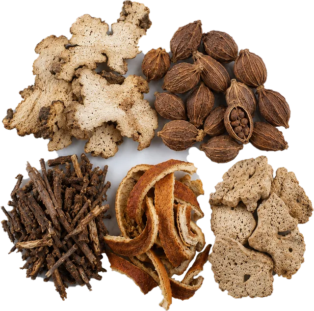 Bạch truật, Sa nhân, Mộc hương, Trần bì, Thần khúc